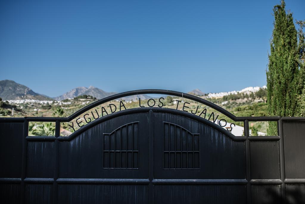 La Perla de Frigiliana Bed&Breakfast Deluxe Exterior foto