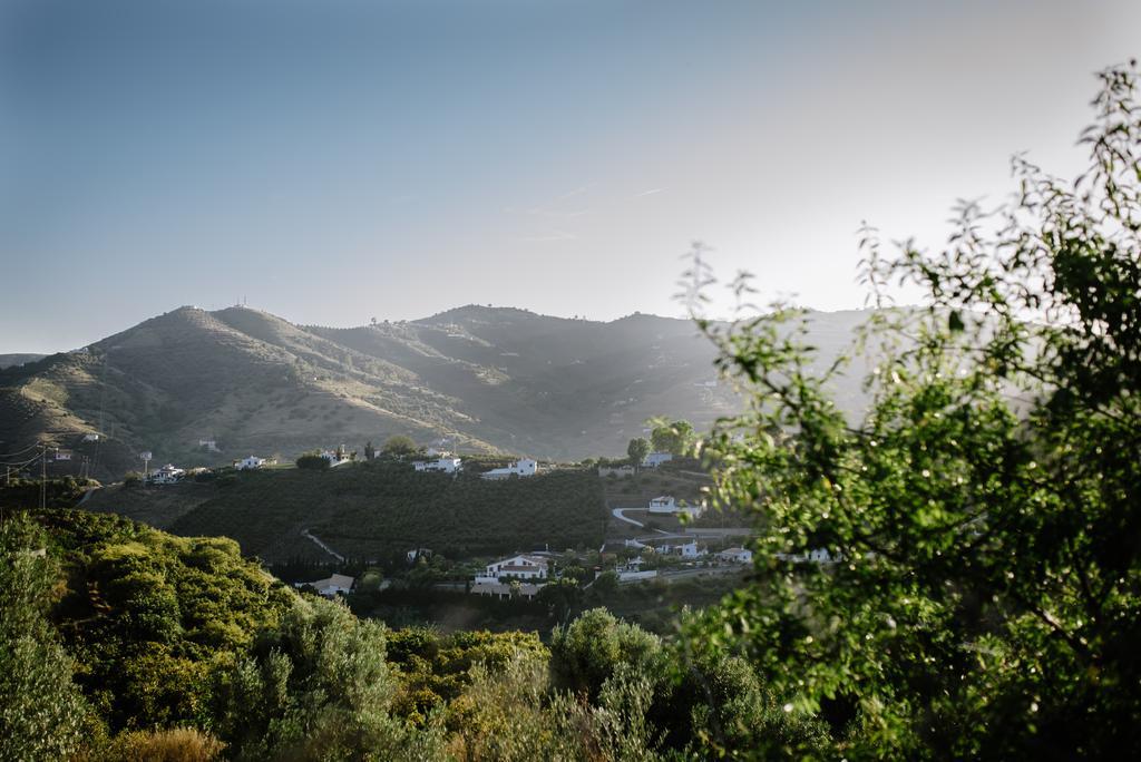 La Perla de Frigiliana Bed&Breakfast Deluxe Exterior foto
